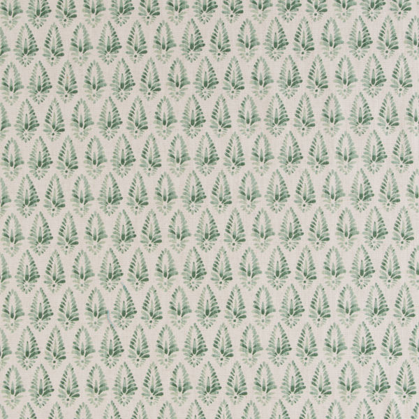 Agave Boxwood