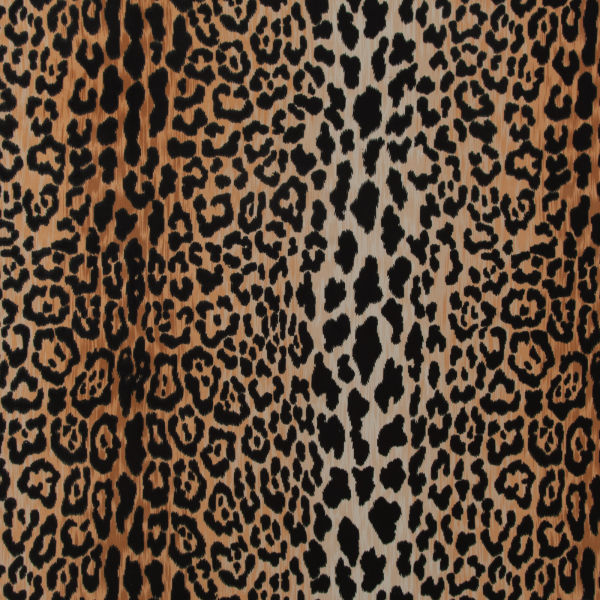 Cattitude Onyx