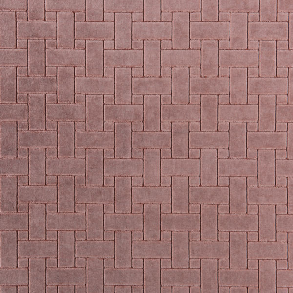 Courtyard Fig