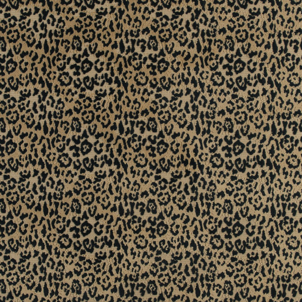 Feline Onyx
