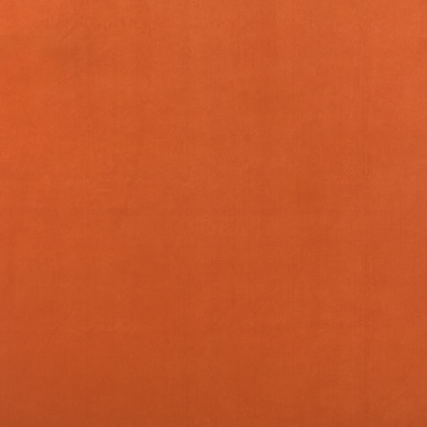 Kate Tangerine