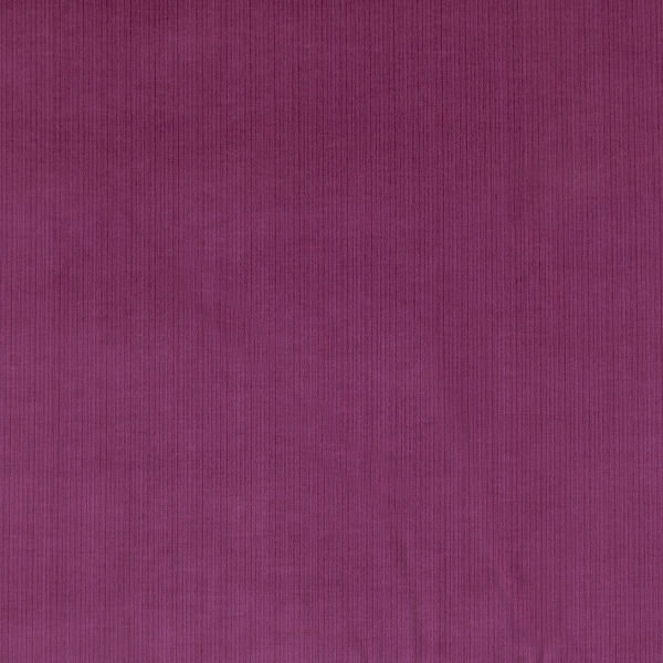 Martin Fuchsia