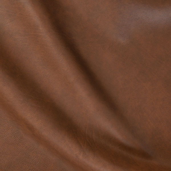 Pioneer Pecan