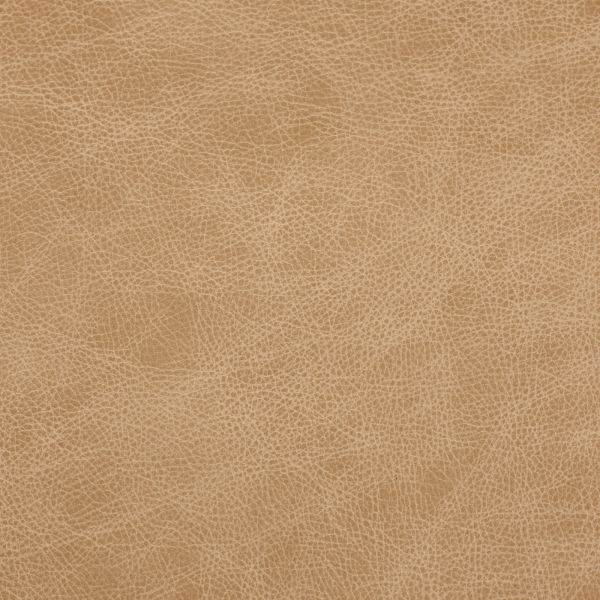 Saloon Cashew