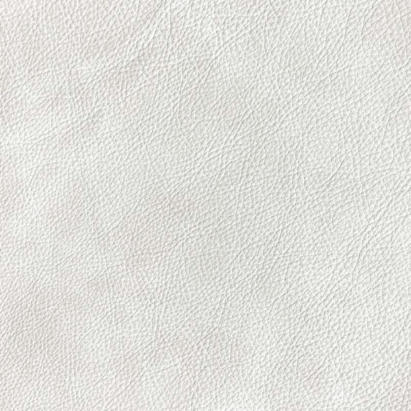 Saloon Ivory