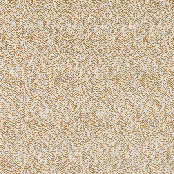 Siamese Dune