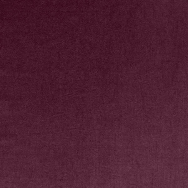 Tasha Plum